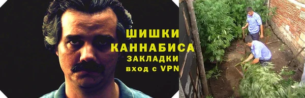 дживик Переславль-Залесский