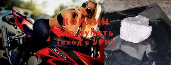 бошки Пересвет