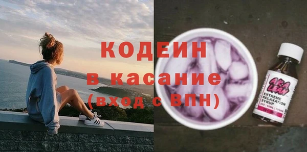 бошки Пересвет
