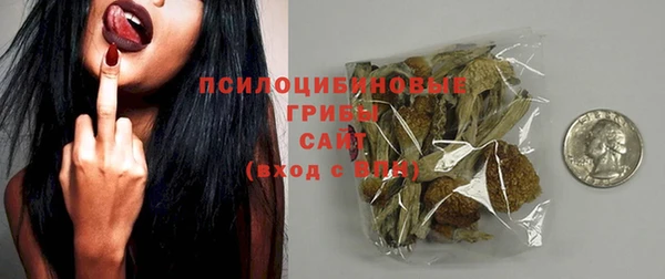 дживик Переславль-Залесский