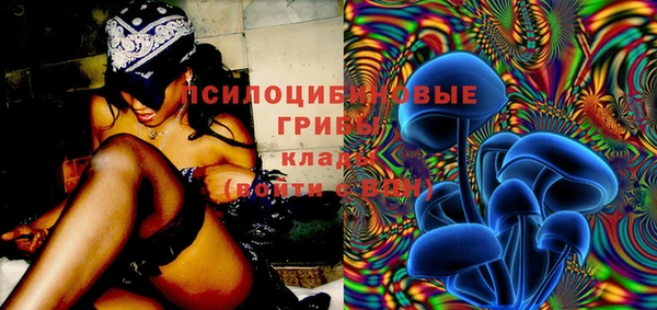 бошки Пересвет