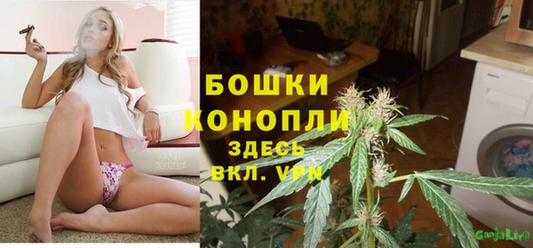 бошки Пестово