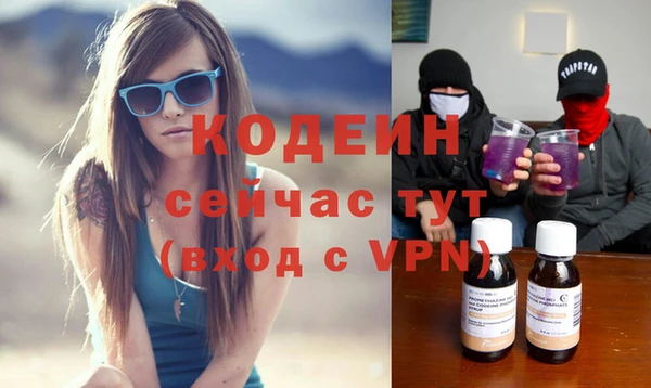 бошки Пересвет