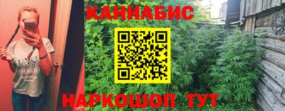 прущие грибы Азнакаево