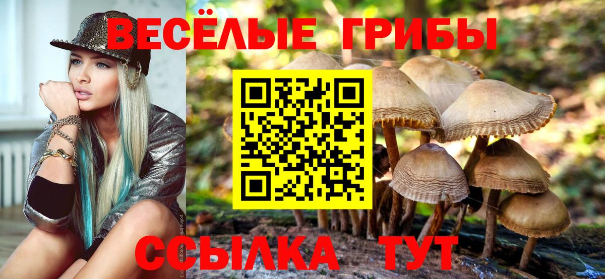 Галлюциногенные грибы прущие грибы Анжеро-Судженск