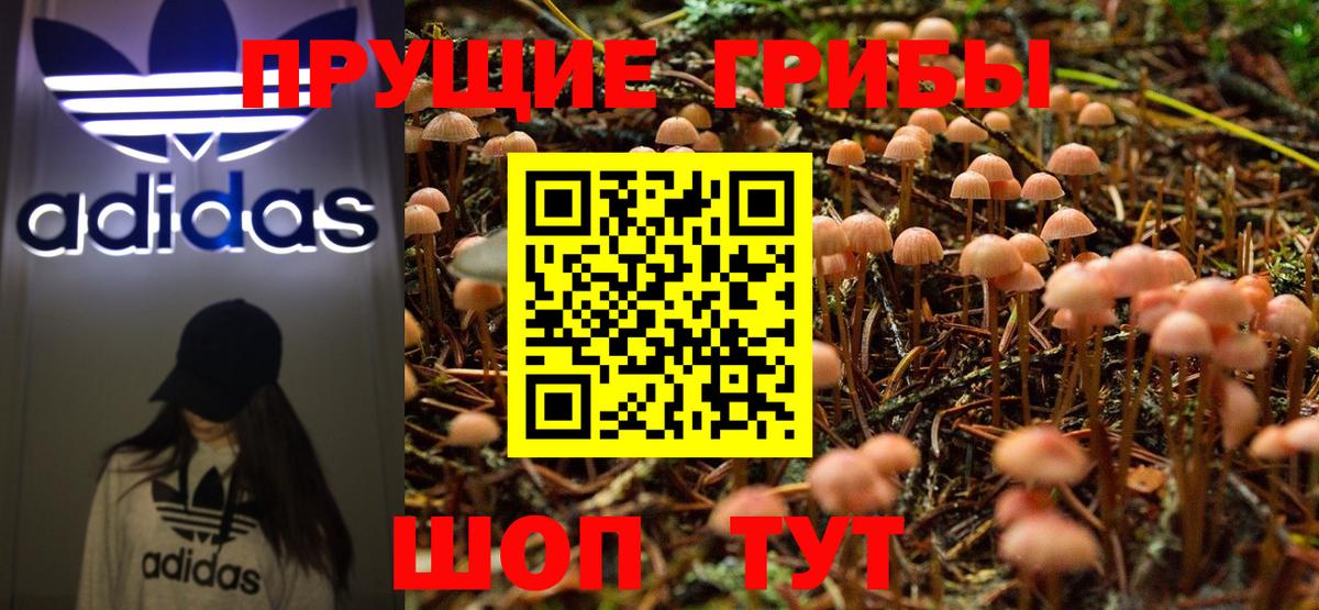 Псилоцибиновые грибы GOLDEN TEACHER Анжеро-Судженск