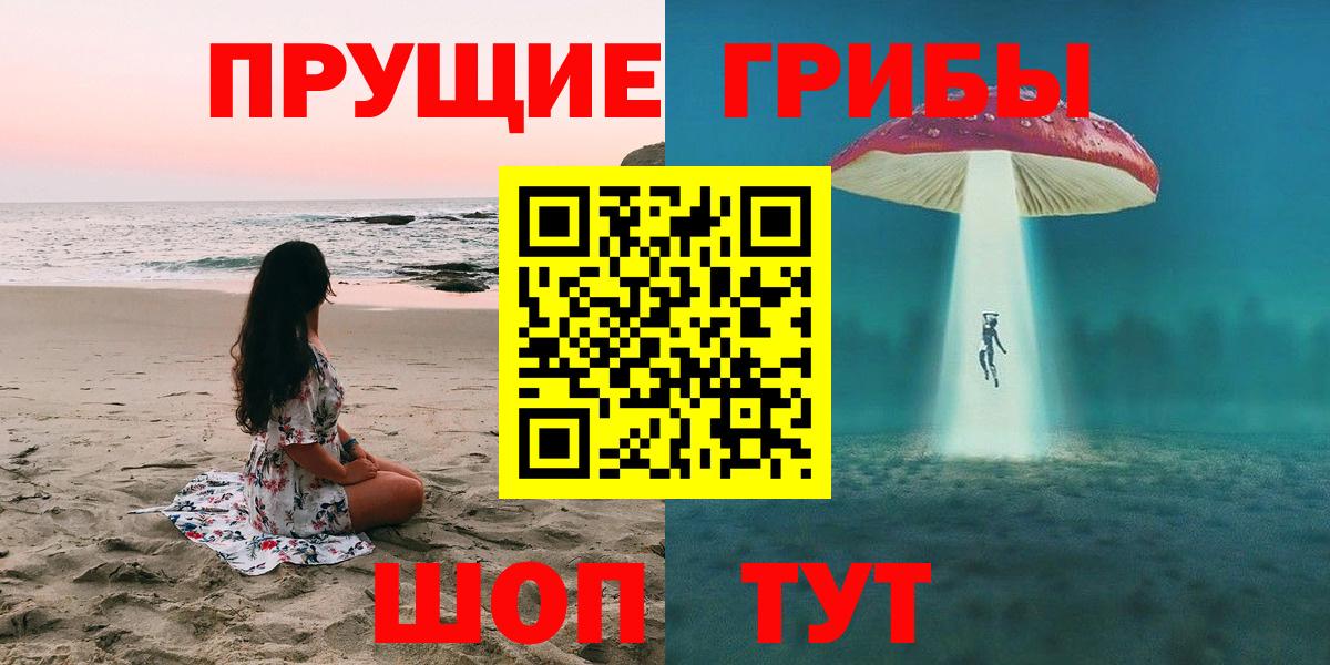 Псилоцибиновые грибы мицелий  Анжеро-Судженск 