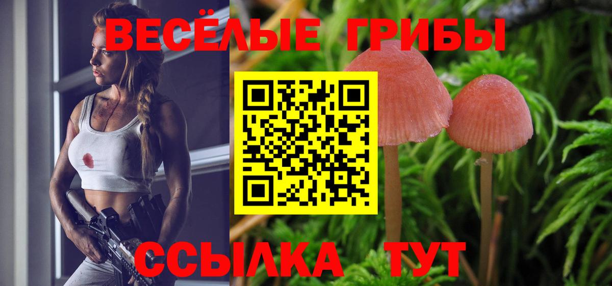 Псилоцибиновые грибы прущие грибы  Вход с VPN  Анжеро-Судженск 