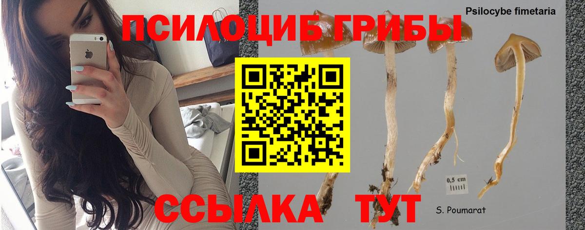 Псилоцибиновые грибы Magic Shrooms Анжеро-Судженск