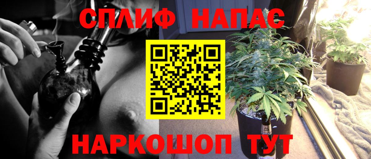 Каннабис сатива Анжеро-Судженск